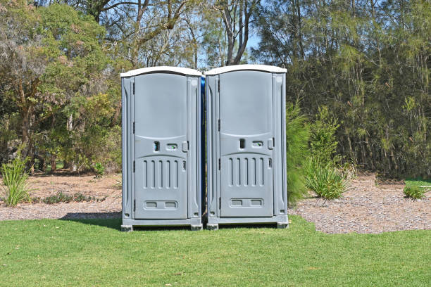 Best Portable Toilets with Baby Changing Stations  in Tonopah, NV